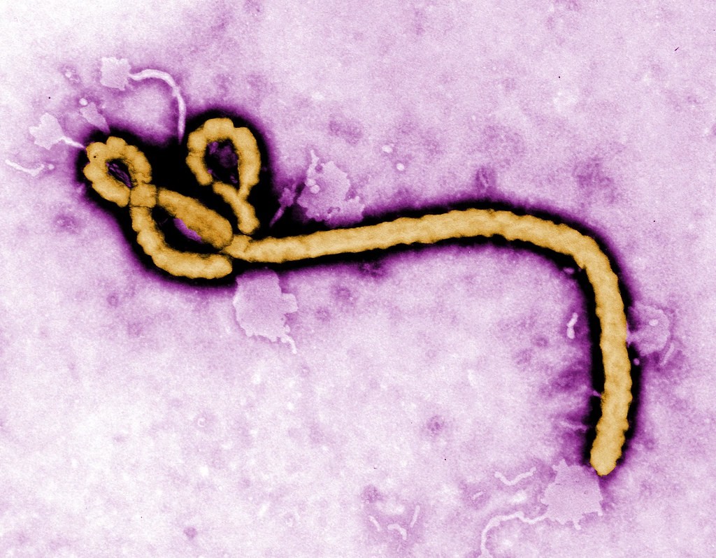 Primeira vacina contra o vírus Ebola é aprovadas na Europa (Foto: Flickr/Creative Commons)