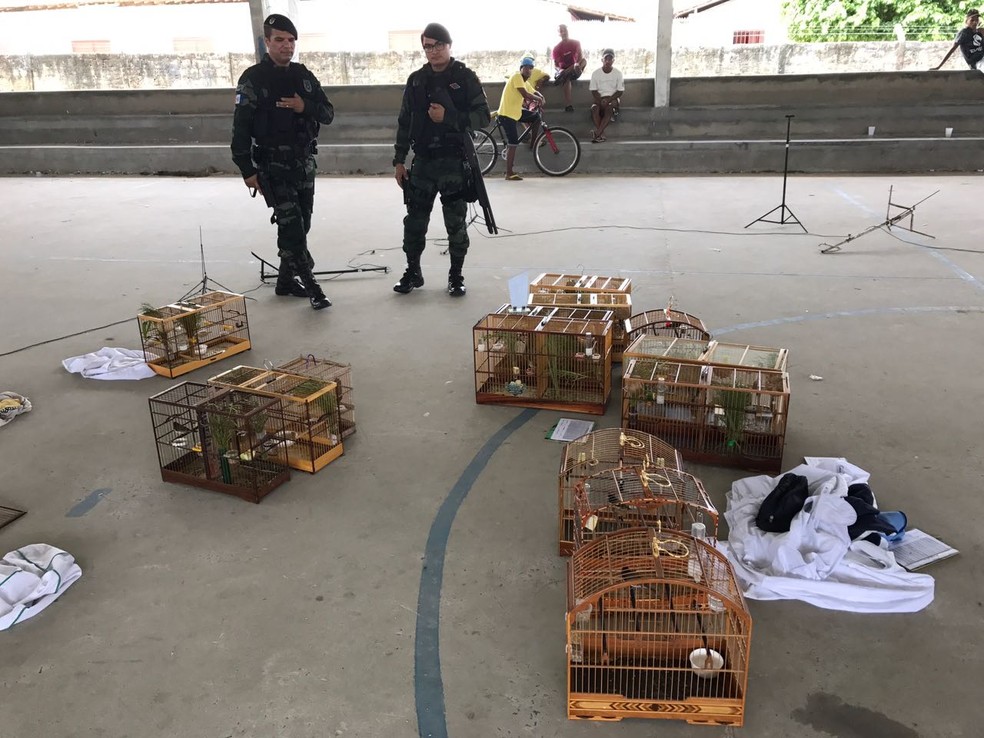 Policiais chegaram ao local após uma denúncia anônima (Foto: Divulgação/BPA) Policiais chegaram ao local após uma denúncia anônima (Foto: Divulgação/BPA)