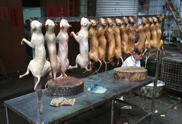 Cães assados foram vistos sendo vendidos em uma barraca em Yulin (Foto: Reuters)
