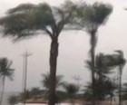 Vento de 80km/h derruba árvores no litoral de SP (Reprodução/G1)