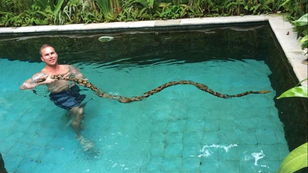 Richie Gilbert nadou com uma píton enorme em piscina em Bali (Foto: Reprodução/Facebook/Sunshine Coast Snake Catchers 24/7)