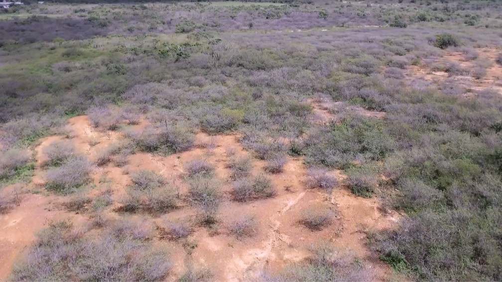 Vila da Ribeira, distrito de Cabaceiras, está em processo de desertificação (Foto: Reprodução/Lapis/INSA)