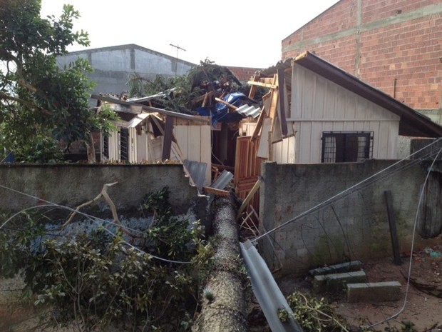 Árvores caiu sobre uma casa no bairro Uberaba, emn Curitiba (Foto: Raphael Sibila/ RPC TV)