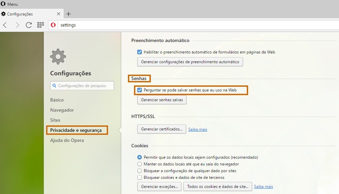 Salve senhas do Gmail pelo Opera (Foto: Reprodução/Barbara Mannara)