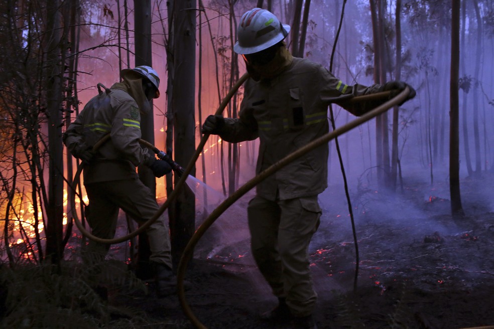Bombeiros tentam combater o incêndio florestal de atingir a vila de Avelar, na região central de Portugal, durante o amanhecer deste domingo (18) (Foto: Armando Franca/AP)
