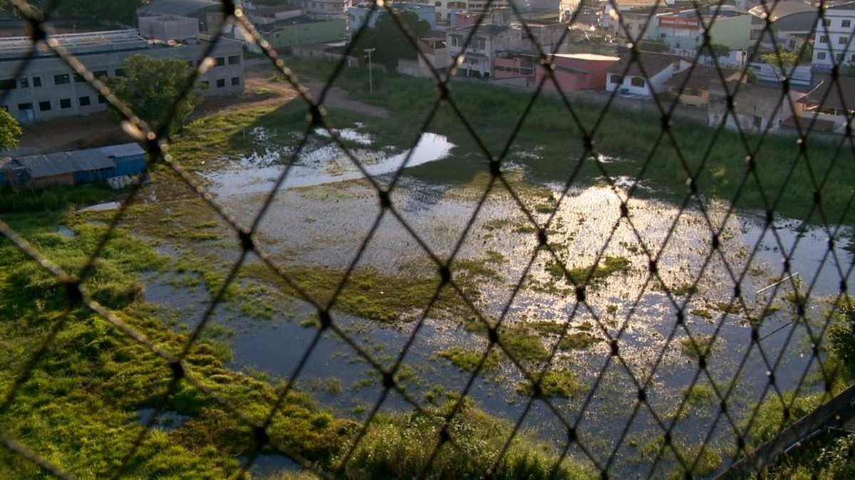 Campus do Ifes em Vila Velha alaga após chuvas e atrai mosquitos ... - Globo.com