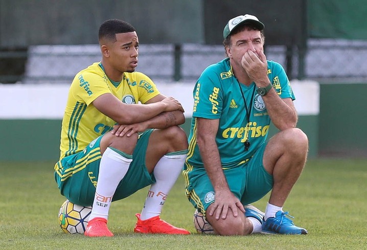 palmeiras