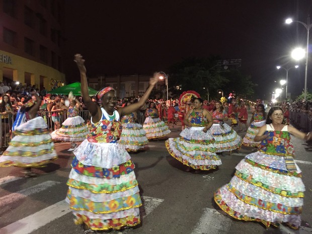 Enredo da Acadêmicos da Serrinha, de Joinville, é 'No colorido das flores, eu viajei'. (Foto: Kleber Pizzamiglio/RBS TV)