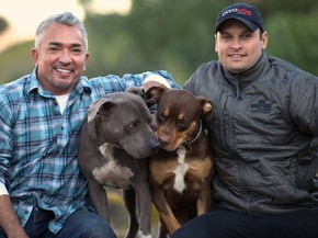 encantador de caes brasileiro da dicas para adestrar os animais rio grande do sul g1