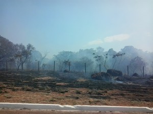 Grande parte de uma área próximo à quadra 406 sul, em Palmas, pegou fogo (Foto: Fabrício Soveral/G1)