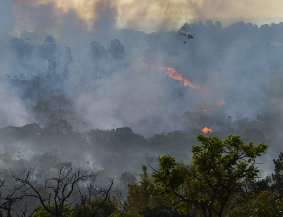 Incêndio atinge área de floresta do Cerrado em Brasília (Foto: Valter Campanato/Agência Brasil)