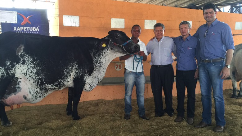vaca-alterosa-bradley-girolando-leite-recorde-mundial (Foto: Divulgação)