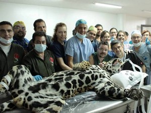 Equipe multidisciplinar participou da cirurgia (Foto: Roberto Fecchio / Arquivo Pessoal)