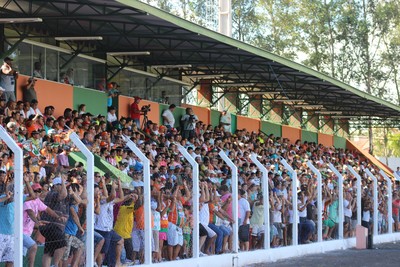 Estádio Virotão, em Naviraí (Foto: Divulgação/Naviraiense)