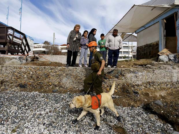 Cão farejador ajuda nas buscas de pessoa desaparecida após terremoto em Tongoy, no Chile (Foto: REUTERS/Ivan Alvarado)