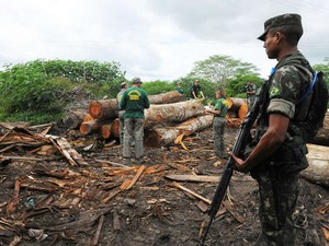  Exército Brasileiro lançou uma operação para parar o desmatamento ilegal (Foto: Divulgação/Exército)
