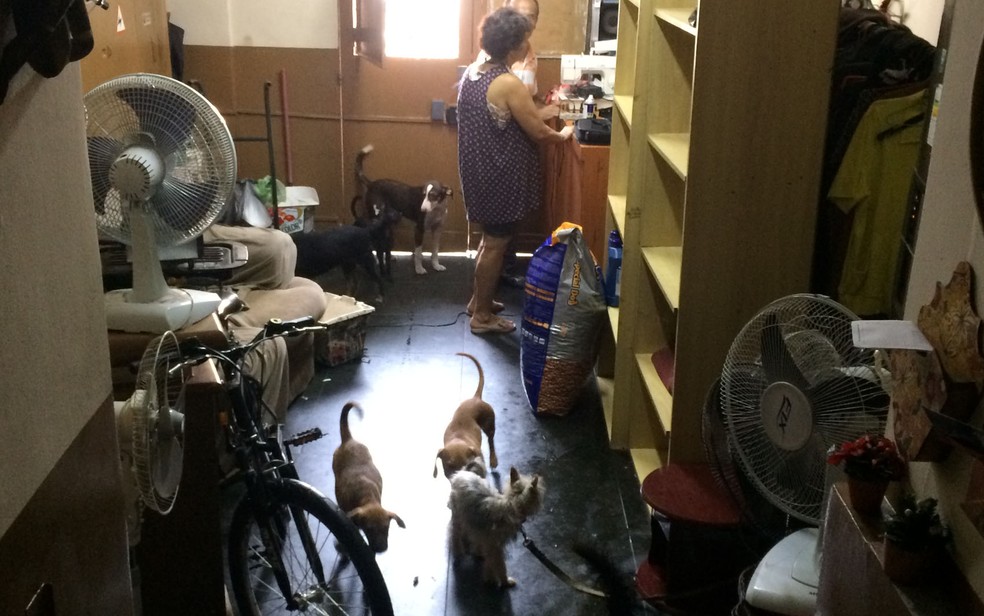 Casa de Dona Gra&ccedil;a cheia de c&atilde;es na Cracol&acirc;ndia (Foto: Paulo Toledo Piza/G1)