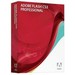Adobe Flash CS3 Pro