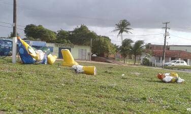 Fuleco gigante foi destruído na Zona Norte de Natal (Foto: Fred Carvalho/G1)