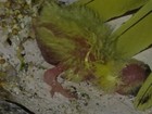 Xuxa publica foto de filhote de passarinho saindo do ovo