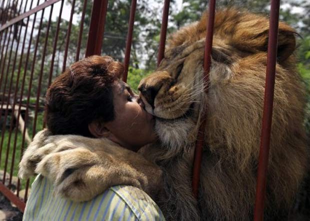 Fundadora de um abrigo de animais em Cali, na Colômbia, a professora Ana Julia Torres chega a beijar o leão chamado 