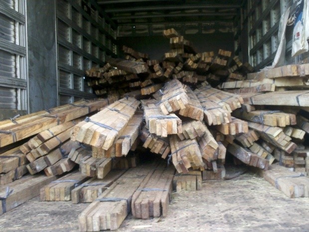 Droga estava escondida dentro de toras de madeira em caminhão estacionado em Piracicaba (Foto: Divulgação PF)