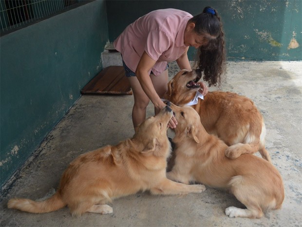 A criadora Rita Dall'Agnol deciciu inscrever Missy e outras cadelas como doadoras regulares em Ribeirão Preto (Foto: Adriano Oliveira/G1)