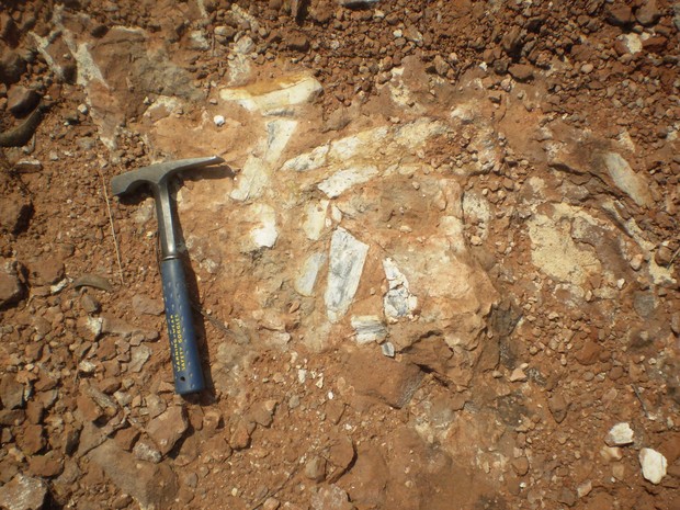 Especialistas encontraram possíveis fragmentos de titanossauro (Foto: Willian Nava/ Arquivo Pessoal)