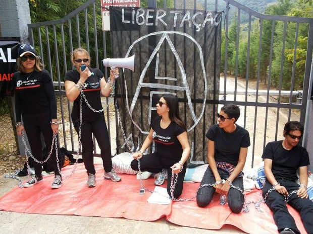 Manifestantes se acorrentam em frente a laboratório em São Roque (Foto: Marcelo Barbosa dos Santos)