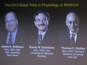 nobel_medicina.jpg