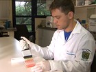 Pesquisadores encontram mais uma ligação entre zika vírus e microcefalia