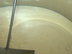 produção de leite prejudicada  (Foto: Reprodução / RPC TV)