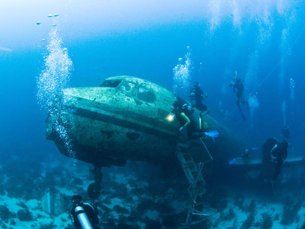 Mergulhadores nadam em volta de avião naufragado em Aruba (Foto: Vito Palmisano/Getty Images)