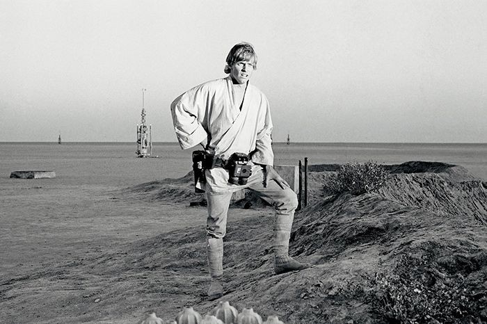 O que Mark Hamill como Luke Skywalker estava realmente comendo em seu  acampamento em Dagobah em O Império Contra-Ataca? - Quora