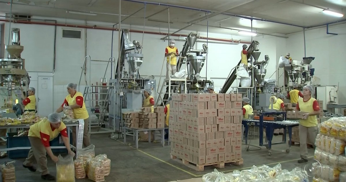 G1 Por causa da demanda, indústrias de alimentos juninos contratam mais notícias em