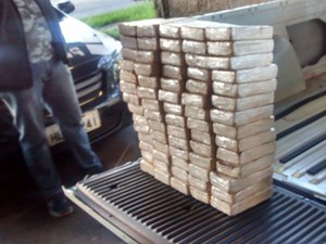 Drogas apreendidas (Foto: Polícia Federal/Divulgação)