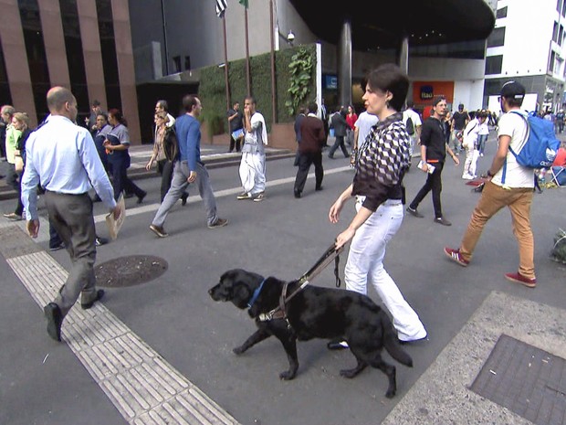 Menino dá novo fôlego à campanha para conseguir cães-guia (Grep) (Foto: Globo Repórter)