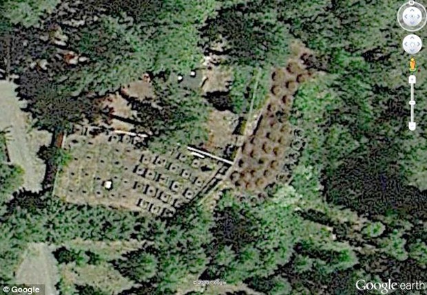 Plantação de maconha de Curtis W. Croft (Foto: Reprodução / Google Earth)
