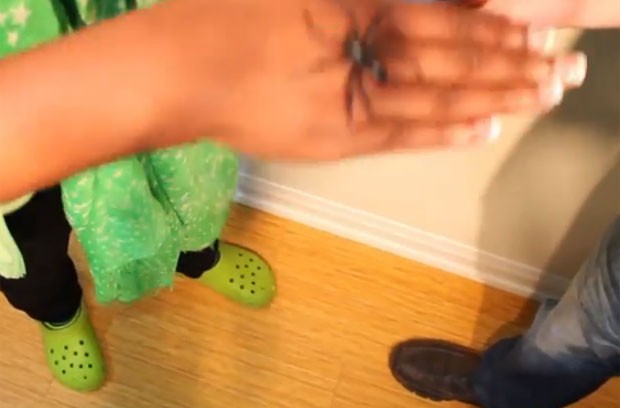 Mágico Chris Ballinger fez aranha aparecer na mão de GloZell (Foto: Reprodução/YouTube/Chris Ballinger)