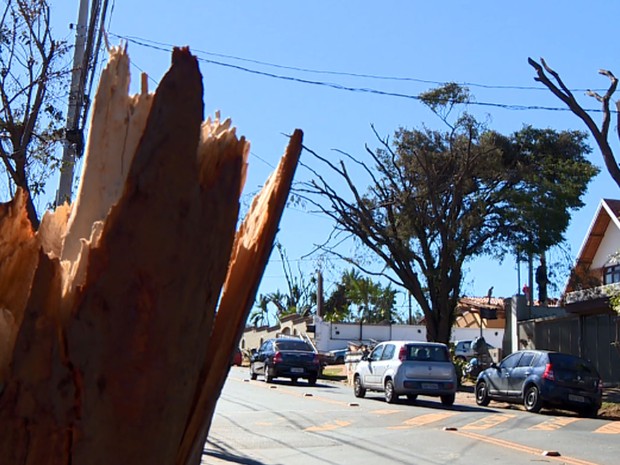 Árvore destruída na Avenida Padre Almeida Garret (Foto: Reprodução EPTV) Árvore destruída na Avenida Padre Almeida Garret (Foto: Reprodução EPTV)