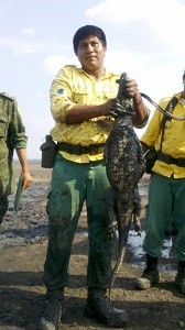 Jacaré também foi encontrado no Lagoão (Foto: Clifton Morais / TV Anhangeura)
