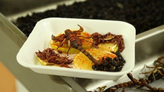 É possível encontrar uma grande variedade de insetos e aracnídeos comestíveis no mercado de San Juan  (Foto: BBC)