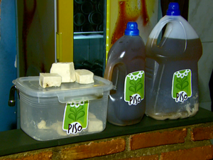 Com ações de sustentabilidade, empresas ganham o selo Eu piso verde em Alfenas (MG) (Foto: Reprodução EPTV) Com ações de sustentabilidade, empresas ganham o selo Eu piso verde em Alfenas (MG) (Foto: Reprodução EPTV)