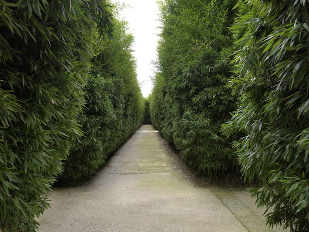 Corredores do labirinto, todo feito com diferentes variedades de bambu (Foto: Massimo Listri /Divulgação)