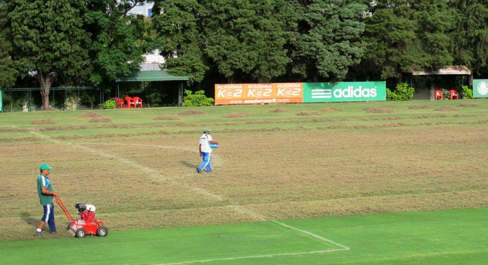 Palmeiras inicia reforma em um dos campos da Academia de Futebol
