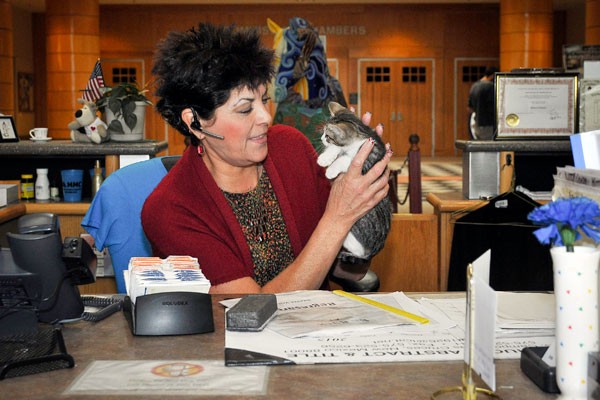 Becky Garcia com um dos gatinhos do 'acervo' (Foto: Jett Loe/The Las Cruces Sun-News via AP)