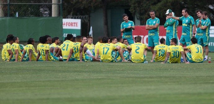 Verdão pode antecipar vaga na Libertadores