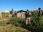 Dois jovens são encontrados mortos em matagal de Montes Claros