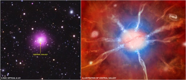 As imagens (real, à esquerda, e ilustração, à direita) mostram a galáxia central do aglomerado Phoenix (Foto: NASA/CXC/MIT/M.McDonald/JPL-Caltech/AURA/NOAO/CTIO/M.Weiss)