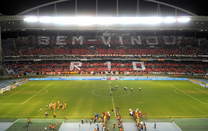 Mosaico Ronaldinho Flamengo (Foto: André Durão)